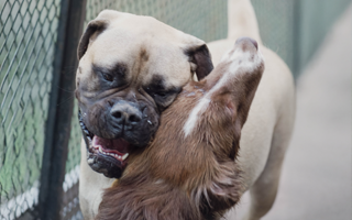 asesoramiento a familias