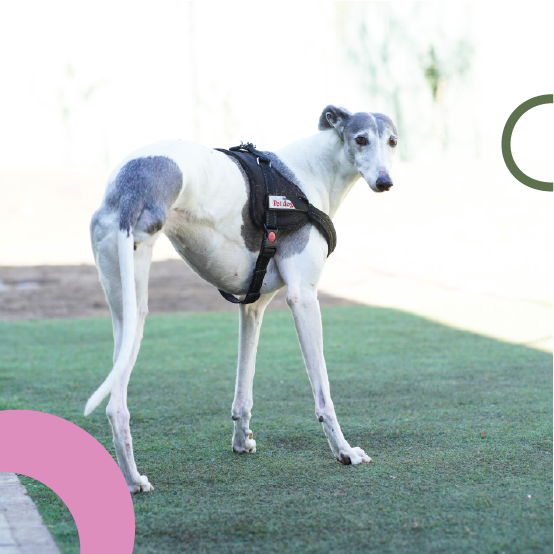 banner-espacio-desarrollo