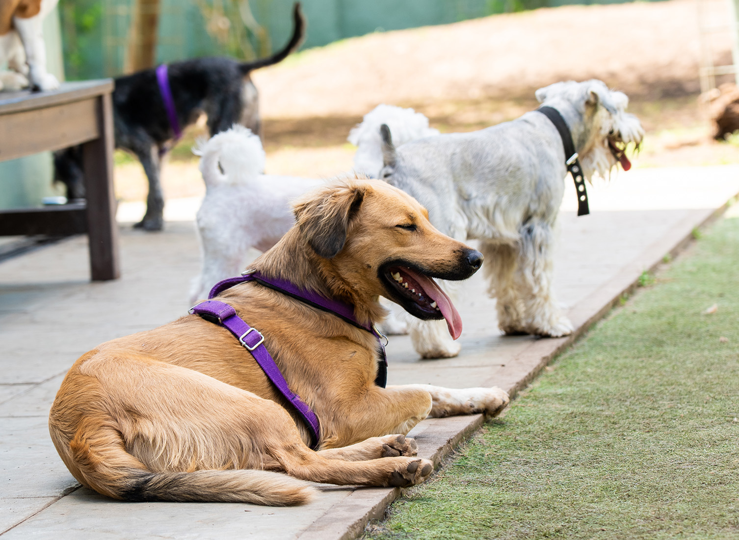 clases de socializacion
